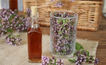 nalewka z kwiatków oregano