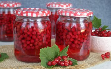 kompot z czerwonej porzeczki